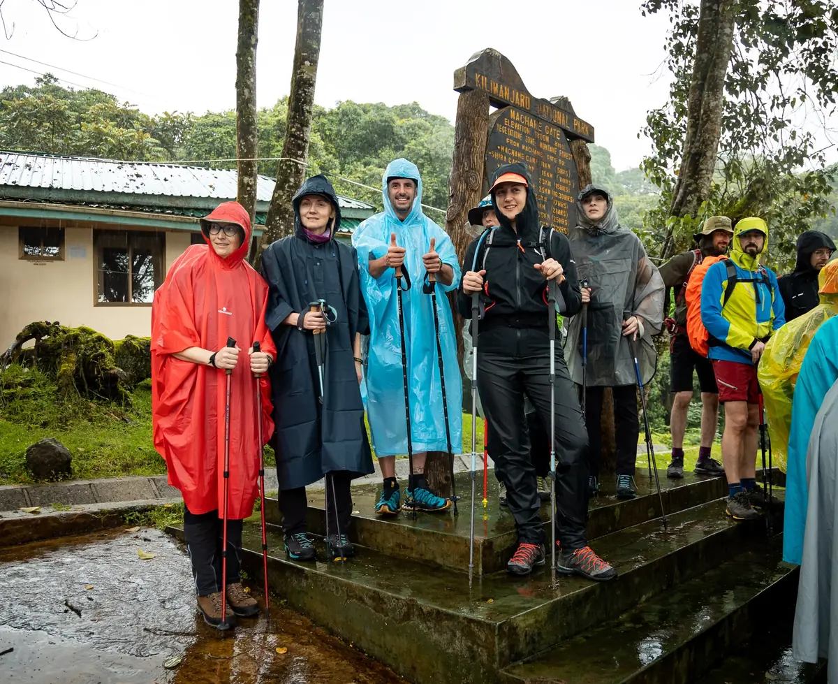 Kilimanjaro rainforest trail